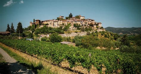 Chianti: discover more about a famous Italian wine and area | Naturalvine