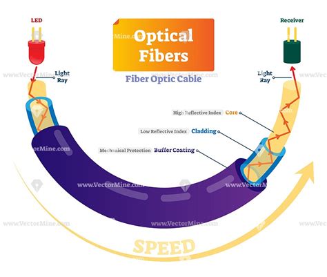 Optical fibers cross section labeled diagram | Fiber optic, Optical, Basic physics