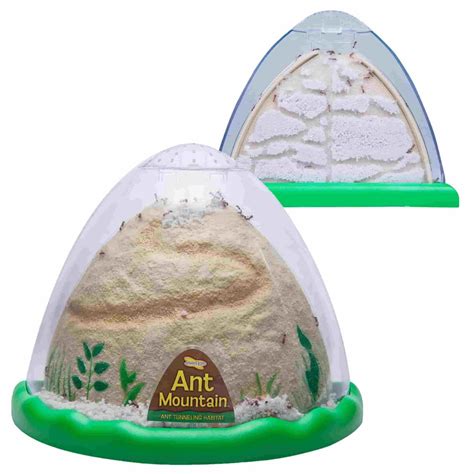 Best Sand Ant Farms for Kids Review 2024 — TOP 5 Cool Sand Ant Farms | BestBabyKit