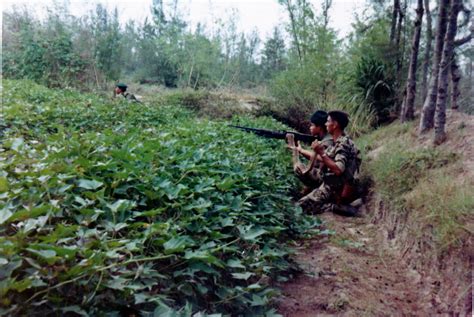 Operation on Go Noi Island, 1969 | "Provincial Reconnaissanc… | Flickr