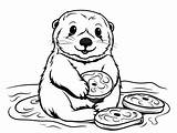 Cute Otter Pals For Coloring  Page sketch template