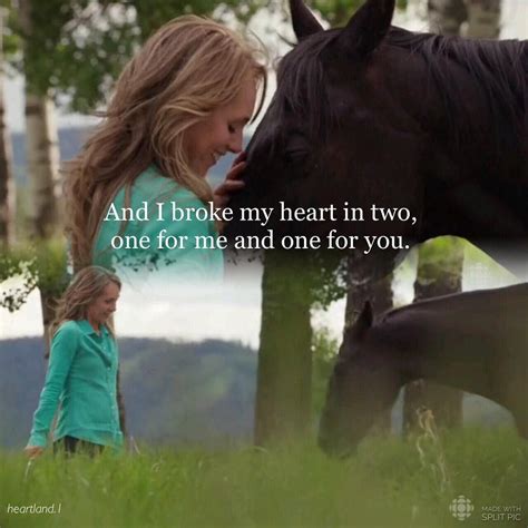 Heartland 💕 on Instagram: “I loved this ending scene😻 . . I actually really enjoyed 10x6! I ...