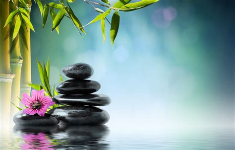 Wallpaper flower, water, stones, bamboo, flower, water, orchid, stones, reflection, bamboo, spa ...