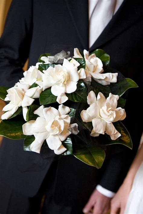 Love gardenias! | Gardenia bridal bouquet, Gardenia wedding bouquets, Gardenia wedding