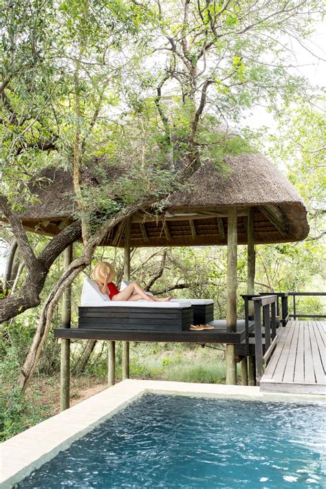 Royal Malewane - The Ultimate Honeymoon Safari - STACIE FLINNER - Stacie Flinner