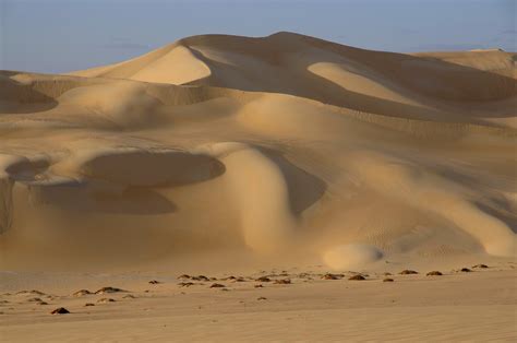 Libyan Desert - Sand Dunes (2) | Siwa Oasis and the Libyan Desert ...