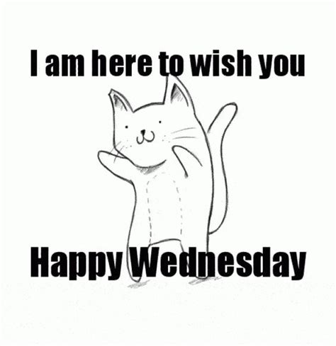 Happy Wednesday Funny Jokes