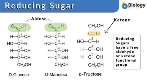 Reducing sugar - Definition and Examples - Biology Online Dictionary