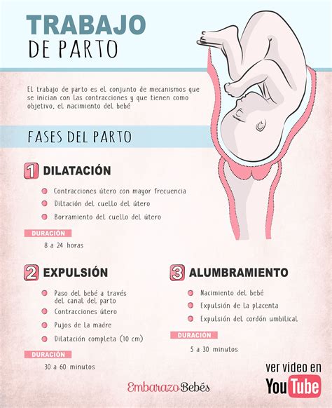 Fases del parto trabajo de parto – Artofit