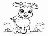 Boer Goat Coloring Sketch  Page sketch template