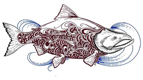 Salmon Fish Drawing at GetDrawings | Free download