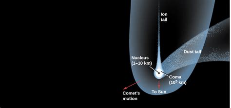 The “Long-Haired” Comets · Astronomy