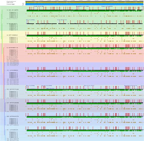 Annotations and signature sequence patterns on whole genome alignments... | Download Scientific ...