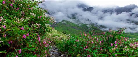 Valley of Flowers Trek | Compass Holidays & Adventure