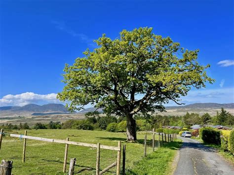 Log Cabins in Wales: The perfect escape at Trawsfynydd Holiday Village ...