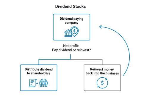 What are Dividend Stocks & How Do They Work?