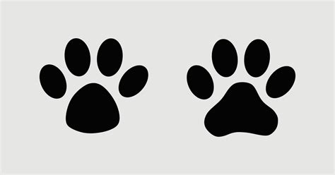 Dog paw prints paw print dog 6211921 Vector Art at Vecteezy