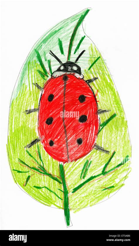 ladybug on leaf. child drawing Stock Photo - Alamy