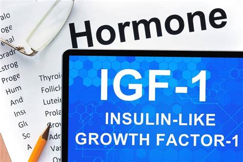 IGF-1: Basic Facts And Information