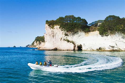 Hahei Explorer Cathedral Cove Boat Tour