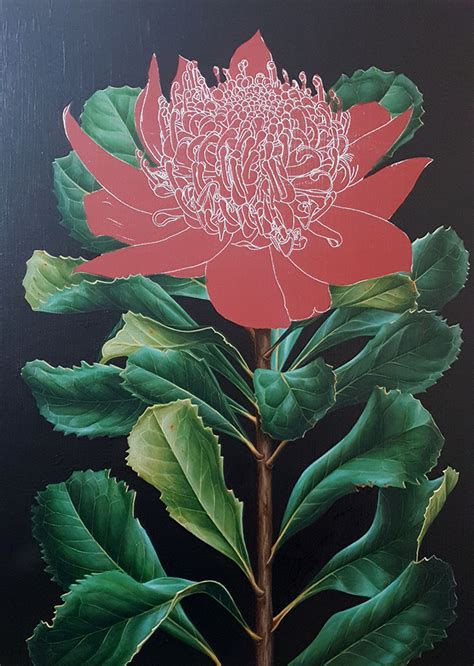 Pink Waratah Painting - Acrylic Botanical Studies - 2 of 3 - Heidi Willis