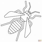 Hornet coloring Page  Free Printable Coloring Pages sketch template