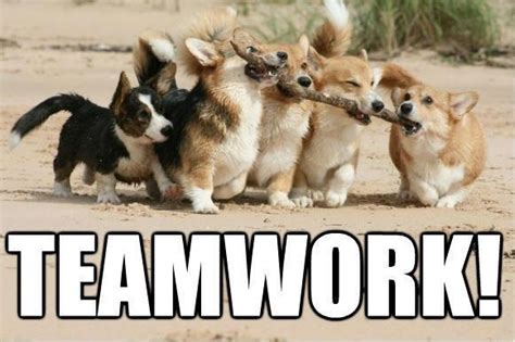 Teamwork! | Memes and Things | Pinterest