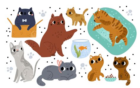 Cat Breeds PNG, Vector, PSD, and Clipart With Transparent Background for Free Download | Pngtree