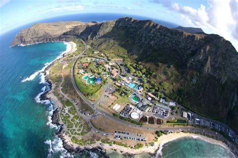 Sea Life Park Hawaii : Park World Online – Theme Park, Amusement Park and Attractions Industry News