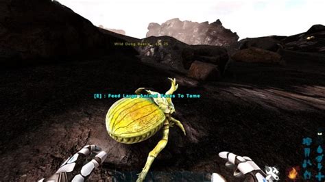 How to tame a Dung Beetle in Ark: Survival Evolved - Gamepur