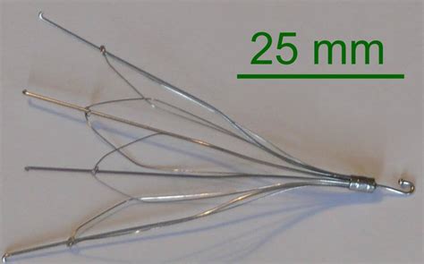 Inferior Vena Cava Filter Placement and Removal