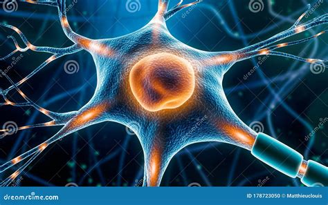 Dendrites Cartoons, Illustrations & Vector Stock Images - 2946 Pictures ...