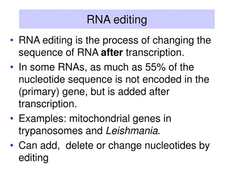 PPT - Splicing RNA: Mechanisms PowerPoint Presentation, free download - ID:4011859