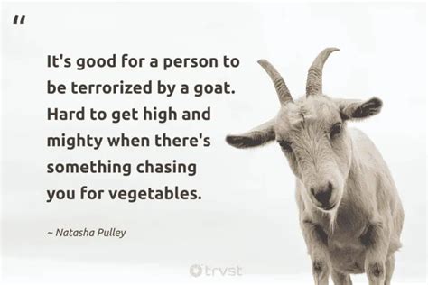 20 Goat Quotes And Sayings About The Bleating Creature (2024)