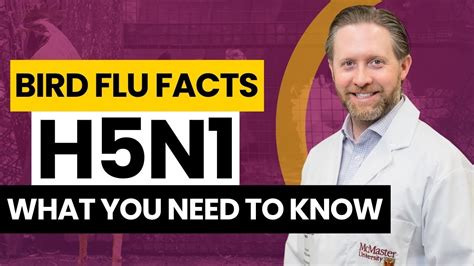 H5N1 Explained: What you need to know about avian flu - YouTube