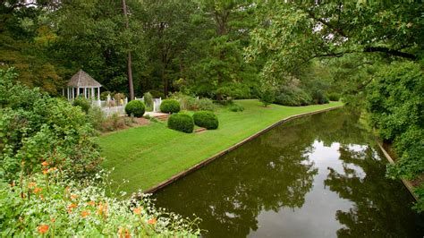 Norfolk Botanical Garden, Norfolk Vacation Rentals: house rentals & more | Vrbo