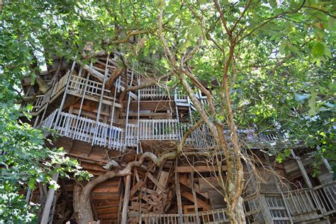 The Cottage Cheese: The World's Largest Treehouse