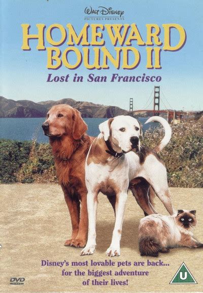 Homeward Bound II: Lost In San Francisco movie review (1996) | Roger Ebert