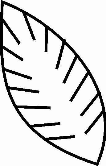 32 Palm Leaf Coloring Page | Sunday school palm sunday, Toddler sunday ...