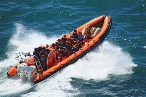 Ilfracombe Sea Safari - 2022 All You Need to Know BEFORE You Go (with Photos) - Tripadvisor