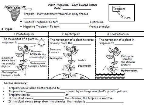 Tropism – Plant movement towards or away from a stimulus. - ppt download