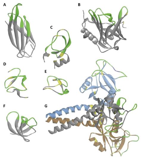 Loop-based scaffold structures. Scaffold structures are extracted from... | Download Scientific ...