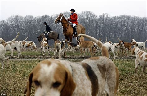 160 foxhunting clubs still exist in US and Canada | Daily Mail Online