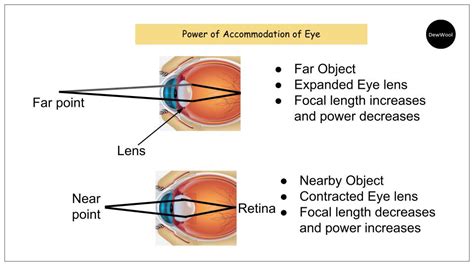 What is power of accommodation of eye - DewWool