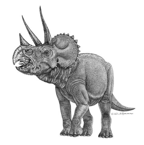 Triceratops - Drawings #triceratops #dinosaur #dino #reptilia #mezozoic #paleontology | Dinosaur ...