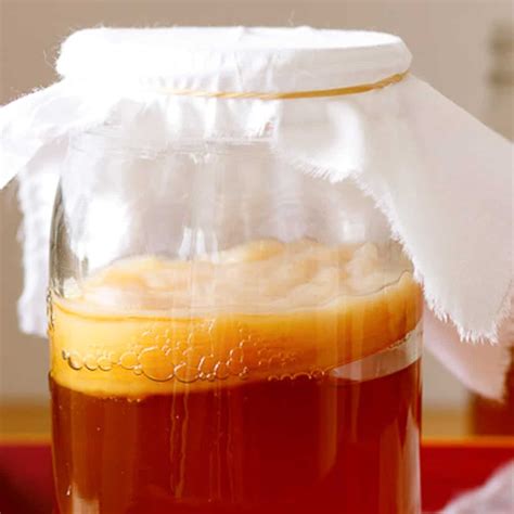 Kombucha Recipe 1 5 Gallon | Bryont Blog