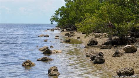 Biscayne National Park | JETTY TRAIL