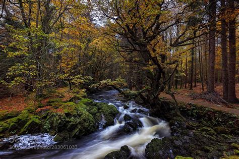 The Enchanted The Forest The Shimna River fast flowing through Tollymore Forest. | Enchanted ...