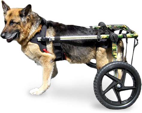 Walkin' Wheels Dog Wheelchair - for Large Dogs 70-180 Pounds - Veterinarian Approved - Dog ...