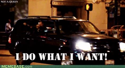 i do what i want gifs Page 2 | WiffleGif